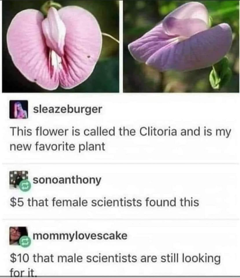 1657432891379.png