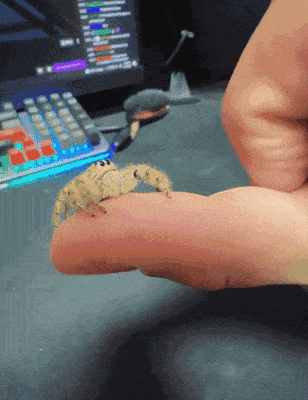 1657573650_17.gif