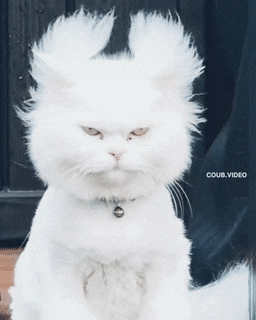 1657660512_10.gif
