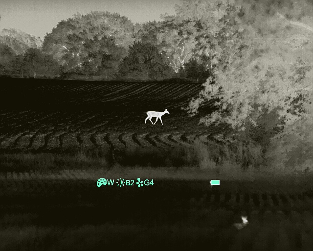 1657684802505.jpg