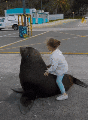 1657746472_11.gif