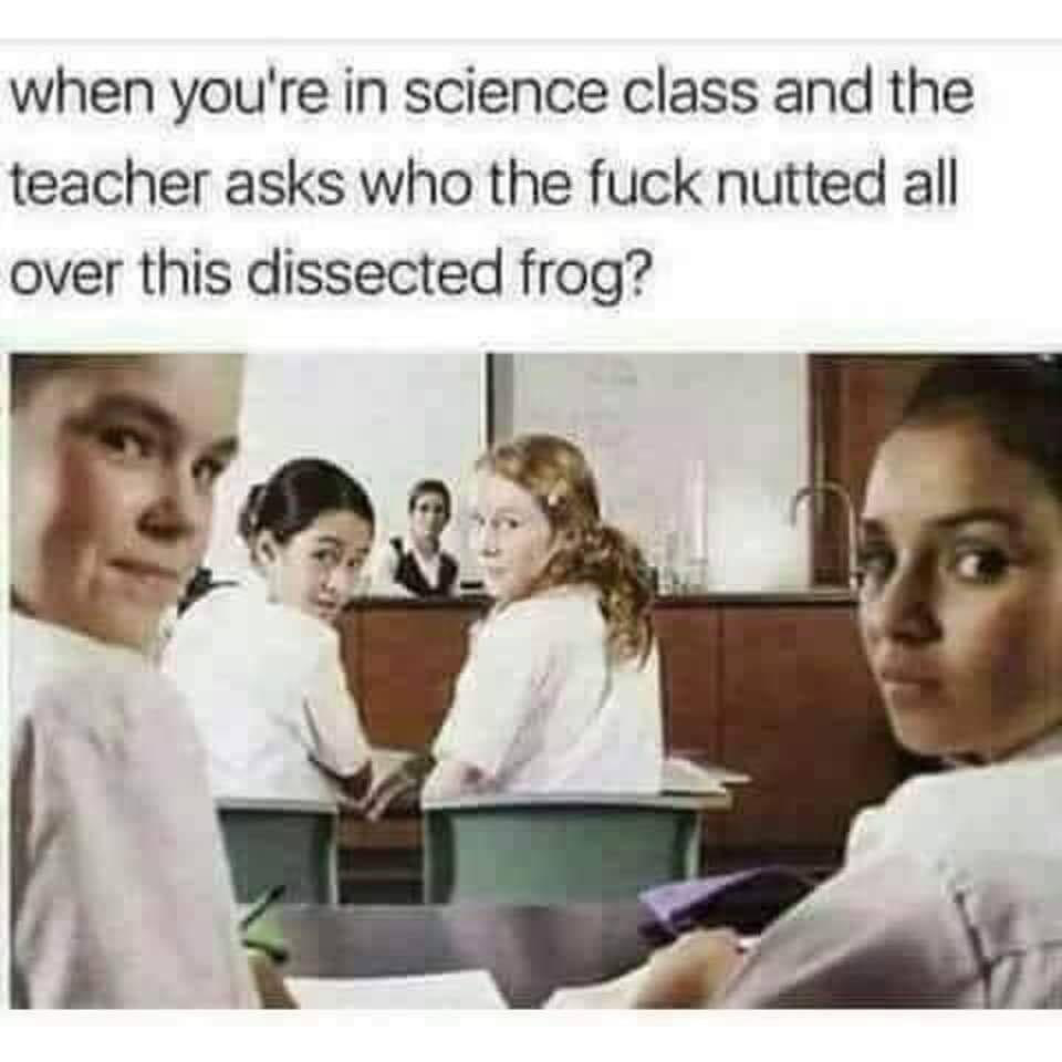 1657986523398.png