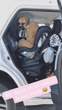 1658037096_12.gif