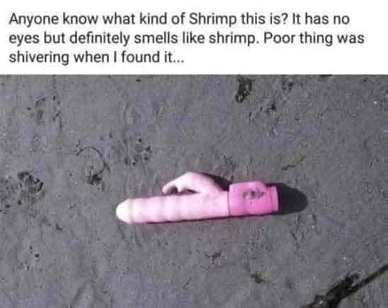 1658198556237.png