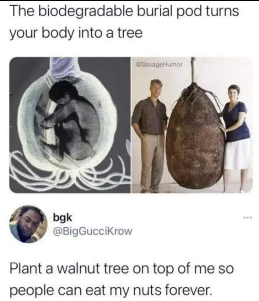 1658270375676.png