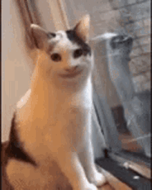 1658291426796.gif