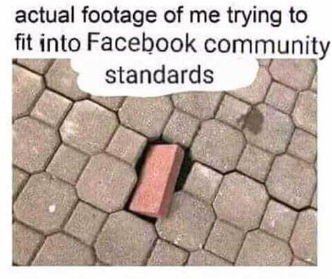 1658502205307.jpeg
