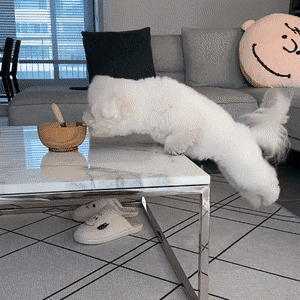 1658676375_12.gif