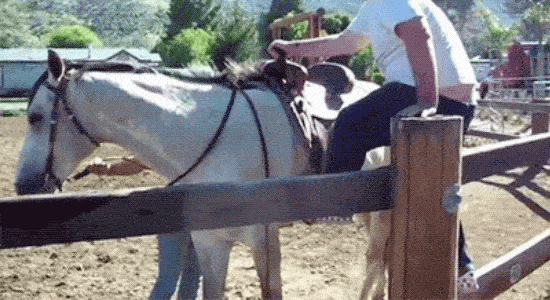 1658676381_9.gif