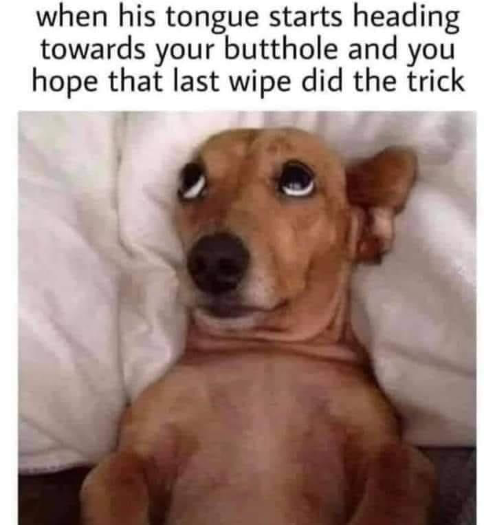 1658765618137.png