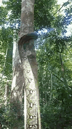 1658858841_20.gif