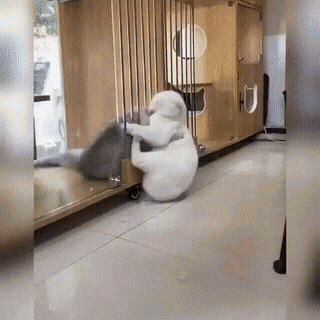 1658858865_2.gif