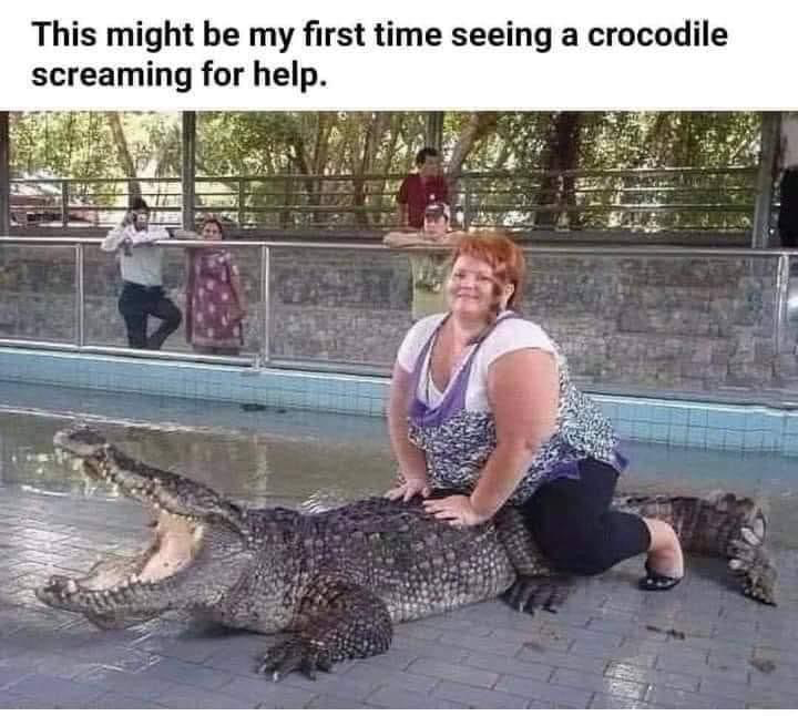 1659066837364.png