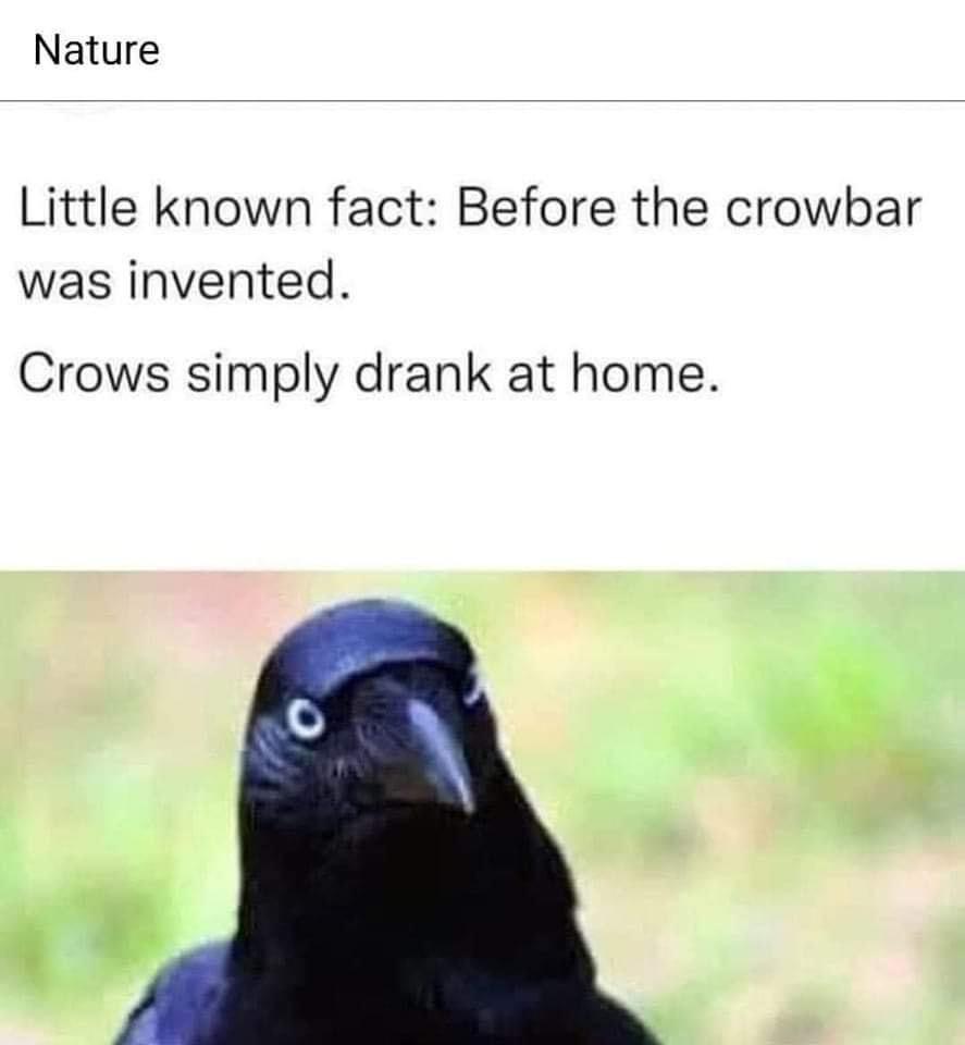 1659110831194.jpeg