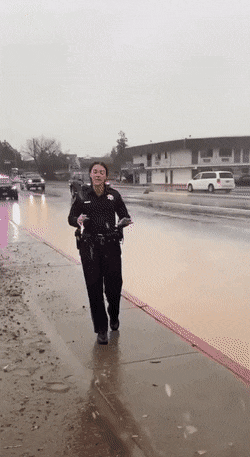 1659282605_13.gif