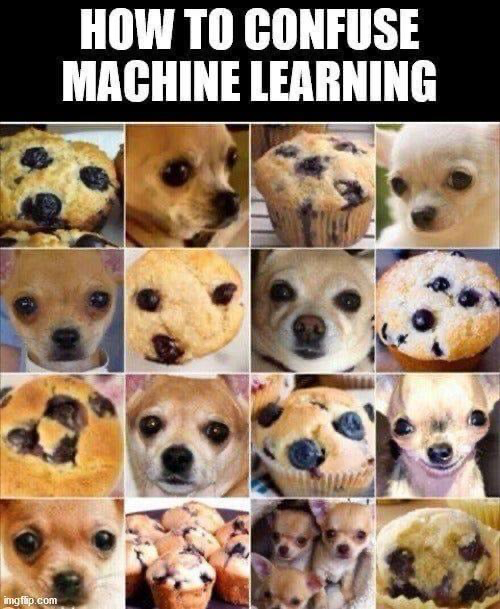 1659391698071.png