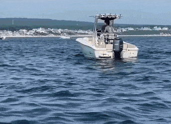 1659469328_9.gif