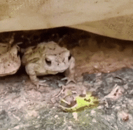 1659469391_6.gif