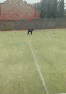 1659469412_15.gif