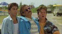 1659477346244.gif