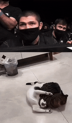 1659557519_25.gif