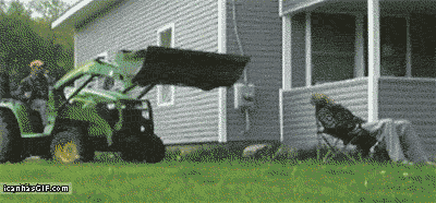 1659557581_11.gif
