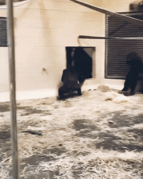 1659629054_2.gif