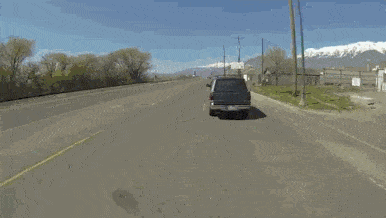 1659629062_11.gif