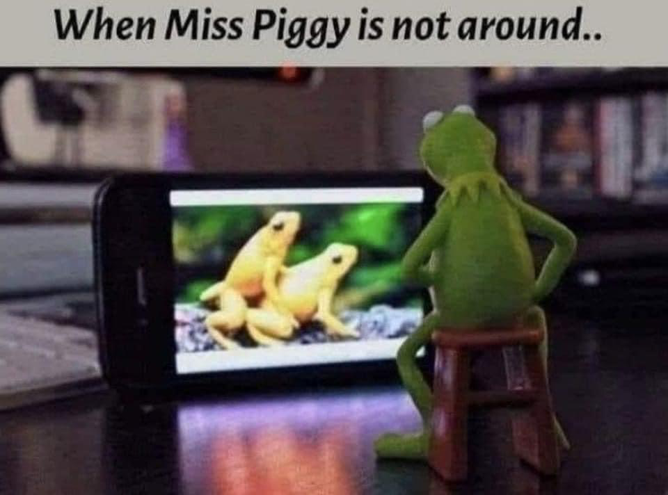 1659646699976.png