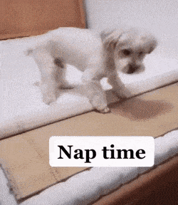 1659903066_3.gif