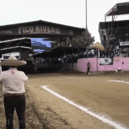 1660147029_6.gif