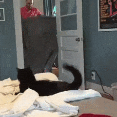 1660147038_12.gif