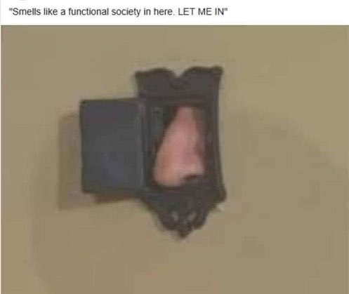 1660163199247.jpeg