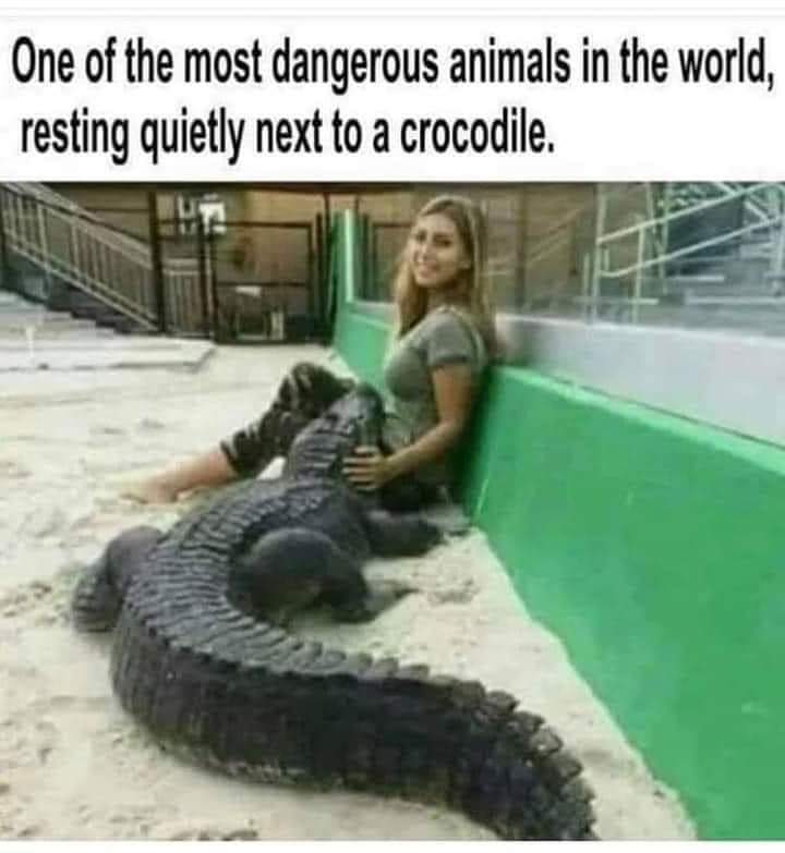 1660352260935.jpeg
