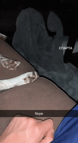 1660499129_17.gif