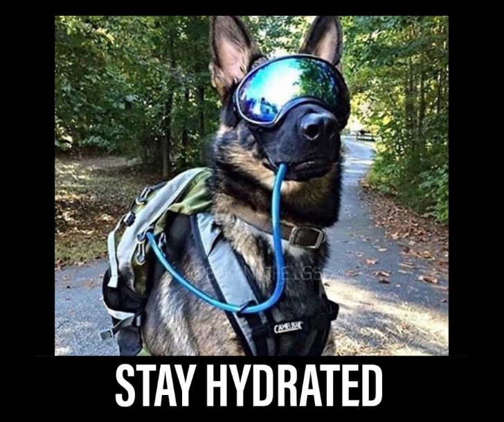 1660572457071.png