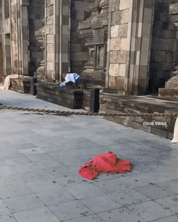1660846673_8.gif
