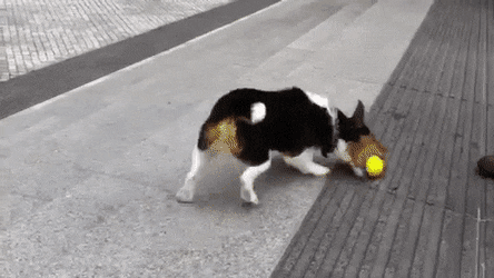 1661114816_15.gif
