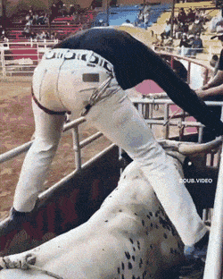 1661458577_25.gif