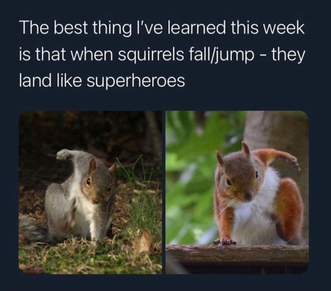 1661800542705.png