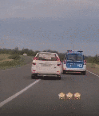 1661807180_1.gif