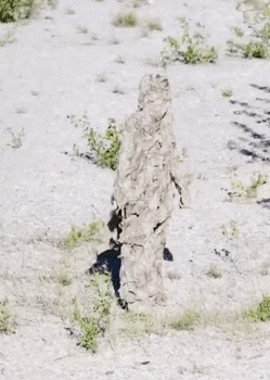 1661893041_12.gif