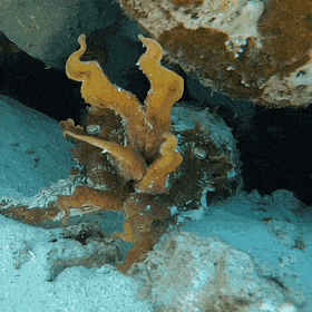 1661977601_4.gif