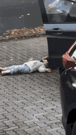 1662329065_17.gif