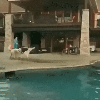 1662329112_7.gif