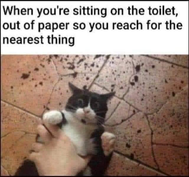 1662426802049.png
