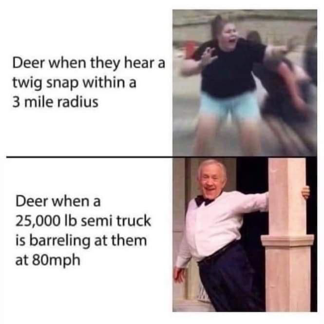 1662506015644.png