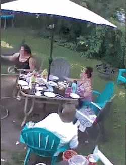 1662628690_8.gif