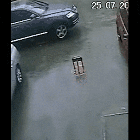 1662628725_14.gif