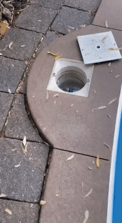 1662628751_15.gif